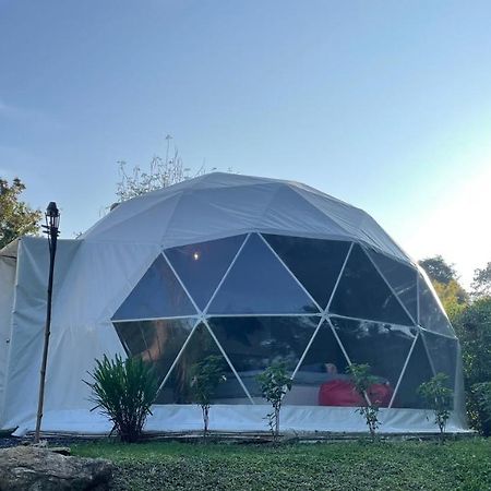 Вилла Panipa Organic Farm And Glamping Пакчонг Экстерьер фото